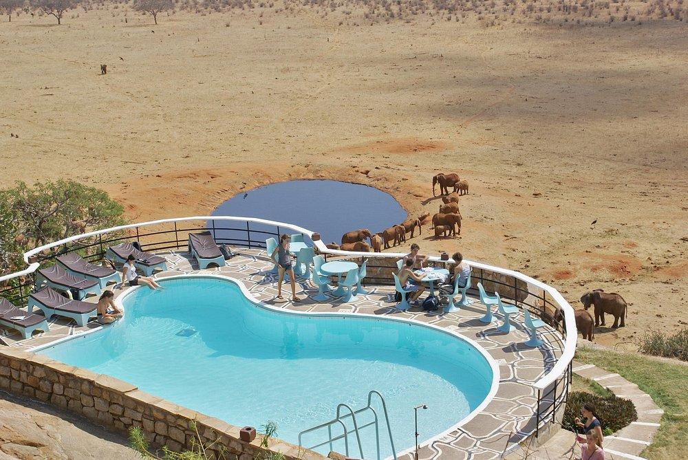 Voi Safari Lodge