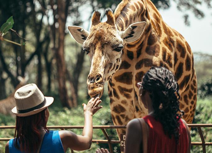 Sarova Panafric Hotel