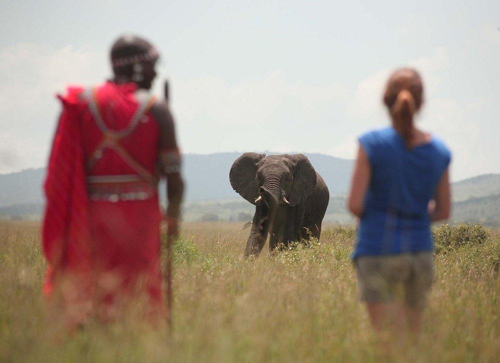 Sarova Mara Game Camp